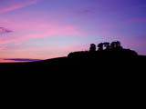 Wittenham Clumps (iii)